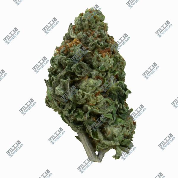 images/goods_img/20210312/Cannabis Bud 06 3D model/3.jpg